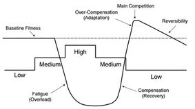 Periodisation