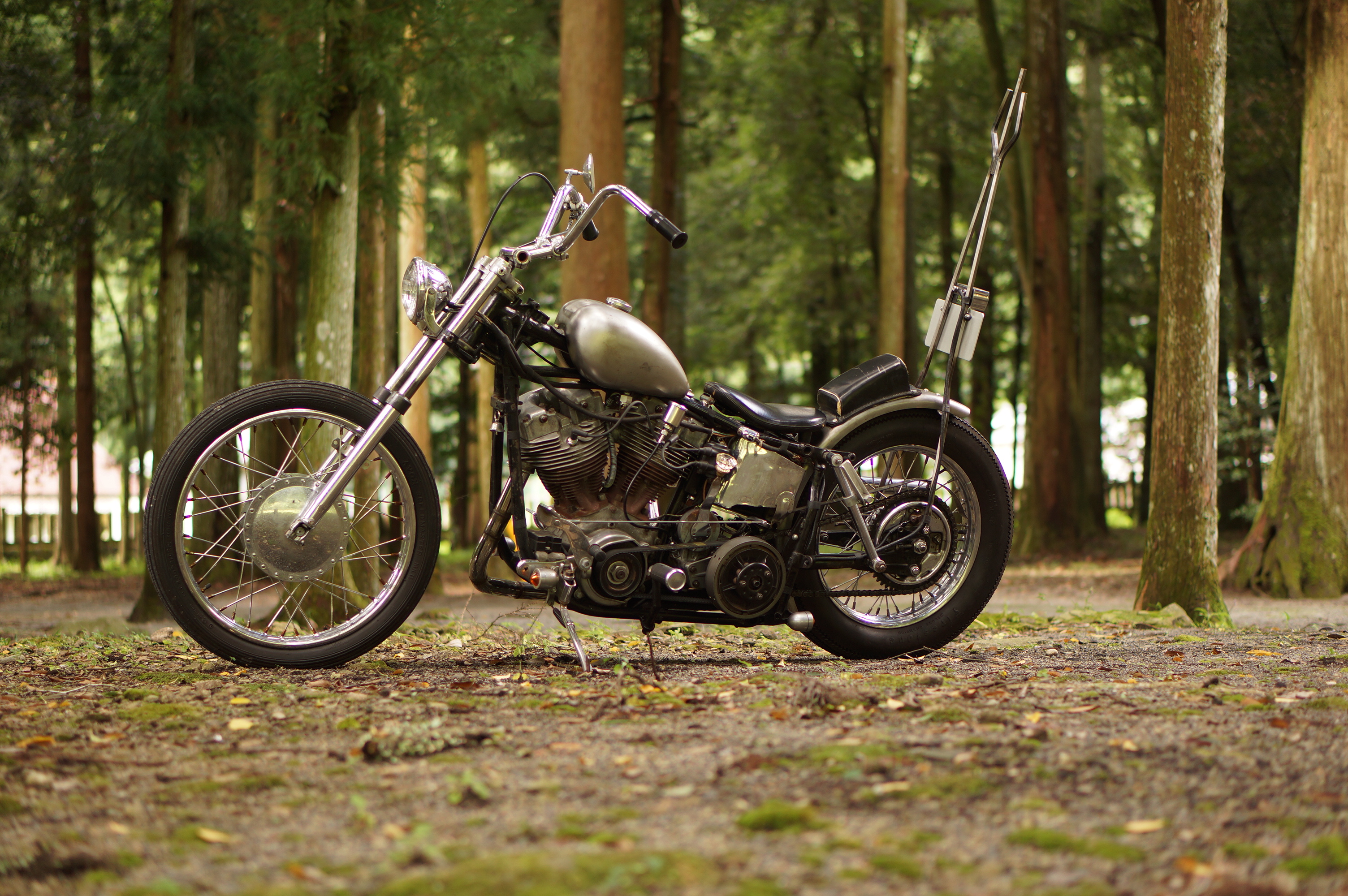 HARLEY DAVIDSON '72 SHOVELHEAD