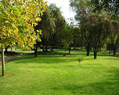 359.jpg
