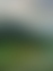 男性恐怖症を持っている私