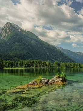 男性恐怖症を持っている私