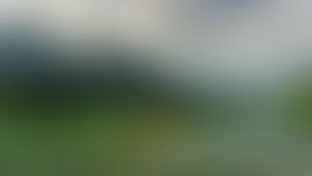 男性恐怖症を持っている私