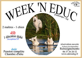 week'n EDUC 2_edited.jpg