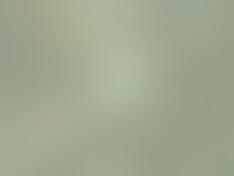 Why I Started My Green Comms 