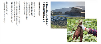 池田のだいちファーム