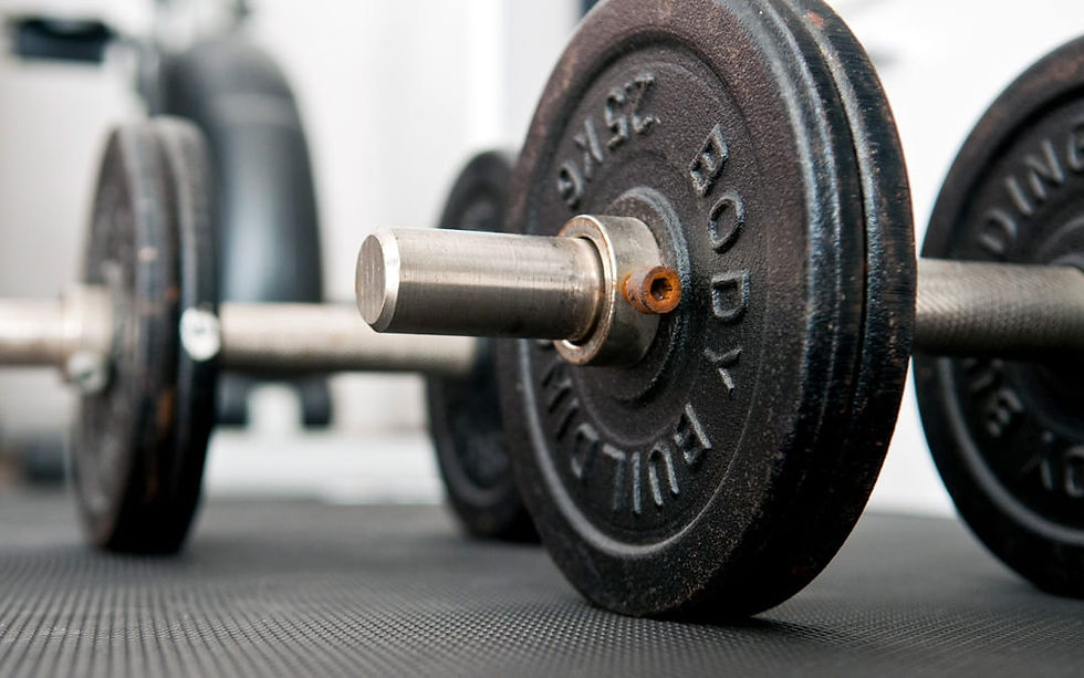gym bumper plates