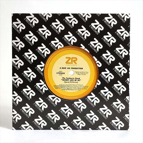The Sunburst Band / Dave & Maurissa Secret Life Of Us / Look At The Stars
