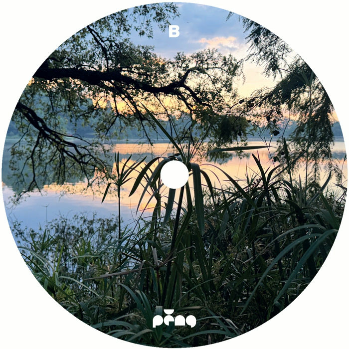 Thumbnail: The Rurals & Shamrock The Rhythm Of Nature
