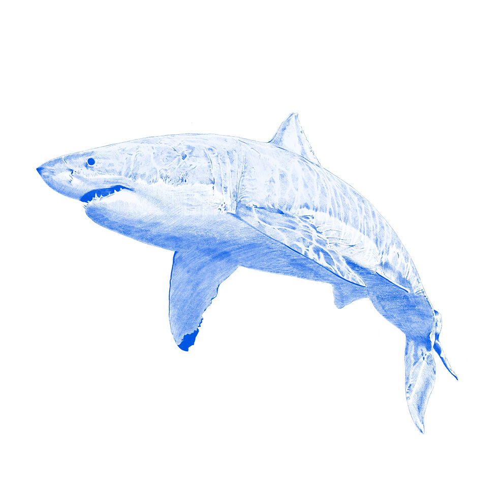 Thumbnail: Kyle Hall - The Shark EP