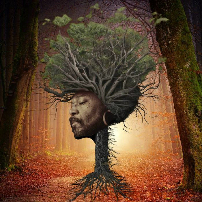 Thumbnail: Osunlade Inner Garden