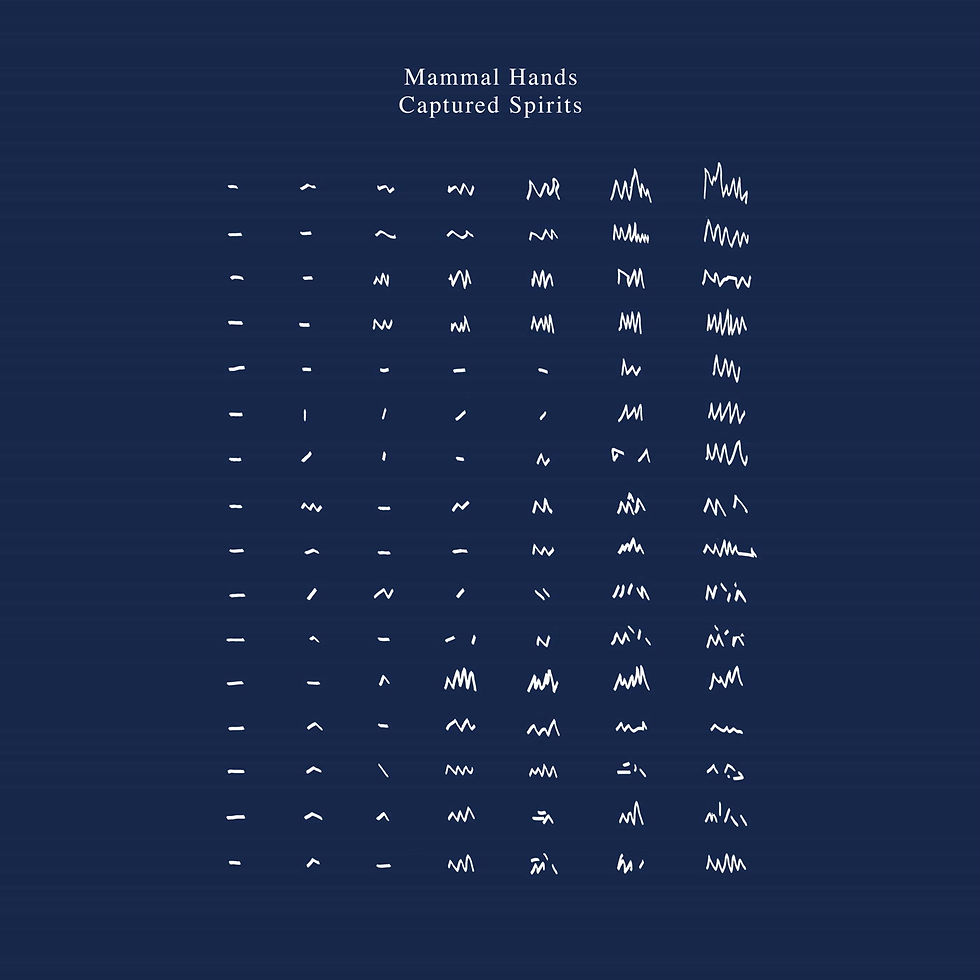 Thumbnail: Mammal Hands - Captured Spirits