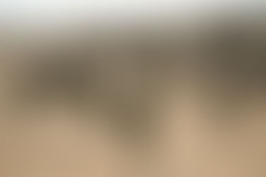 ‘Is dit waarom westerse leiders Israël vrij spel geven om Palestijnen te doden en te verdrijven?’