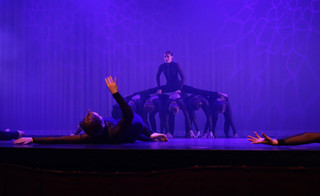 SS_SpringShow_17.jpg