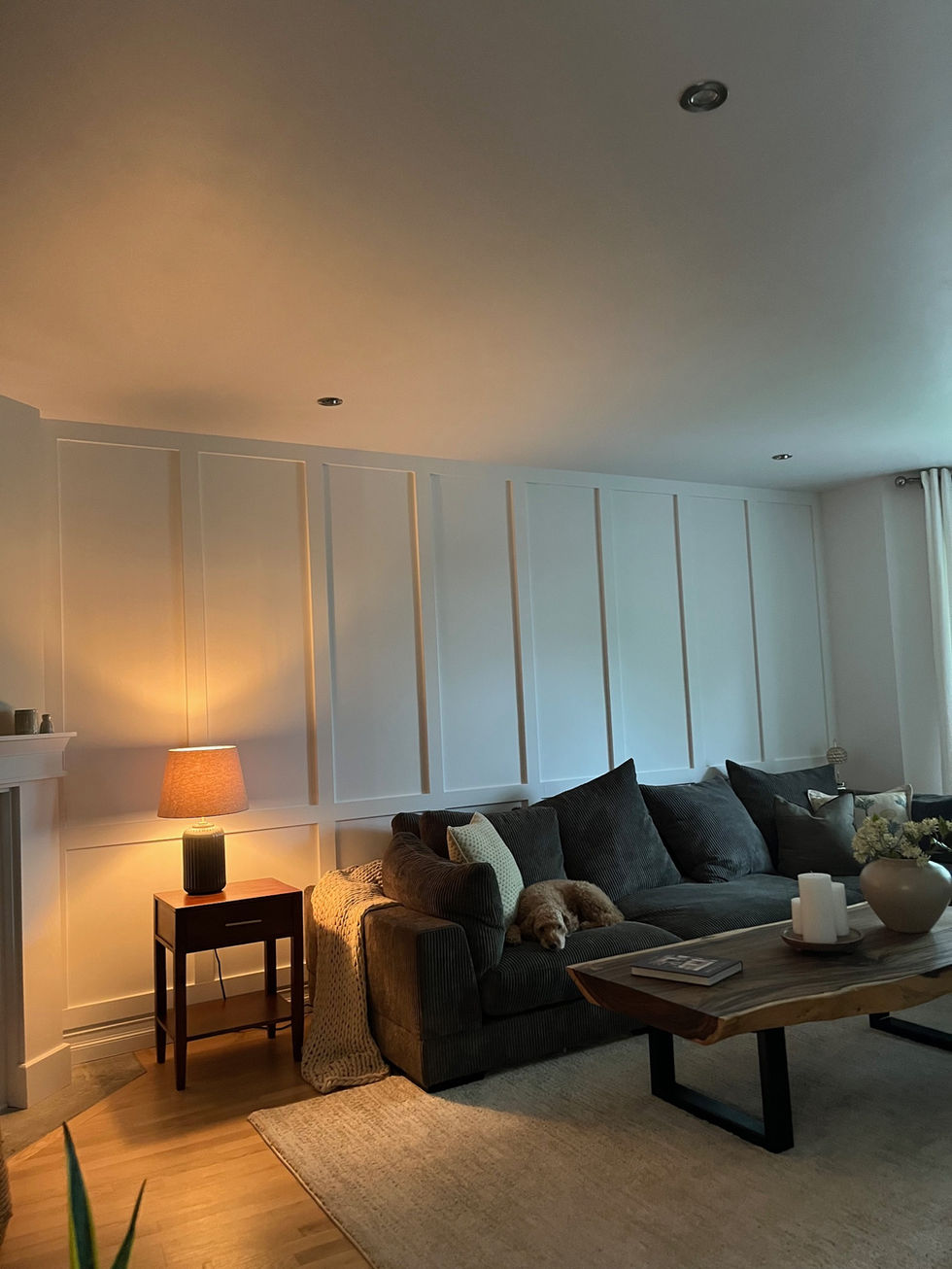 Living Room 1