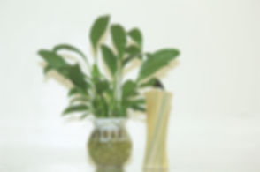 image0 (3).jpeg