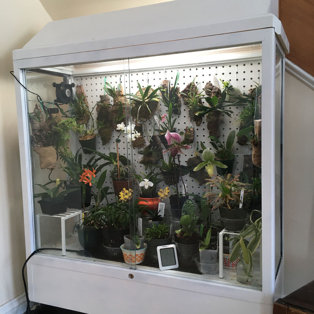 DIY Orchidarium