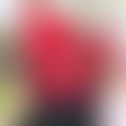 Dtps. Cherry Wine 'Newberry'