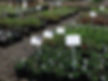 Nursery Tour