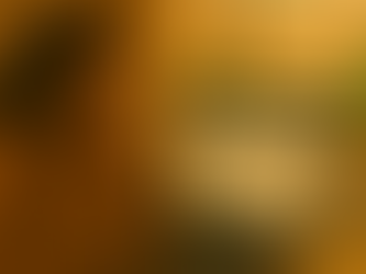 Behind the Scenes: Building the Website