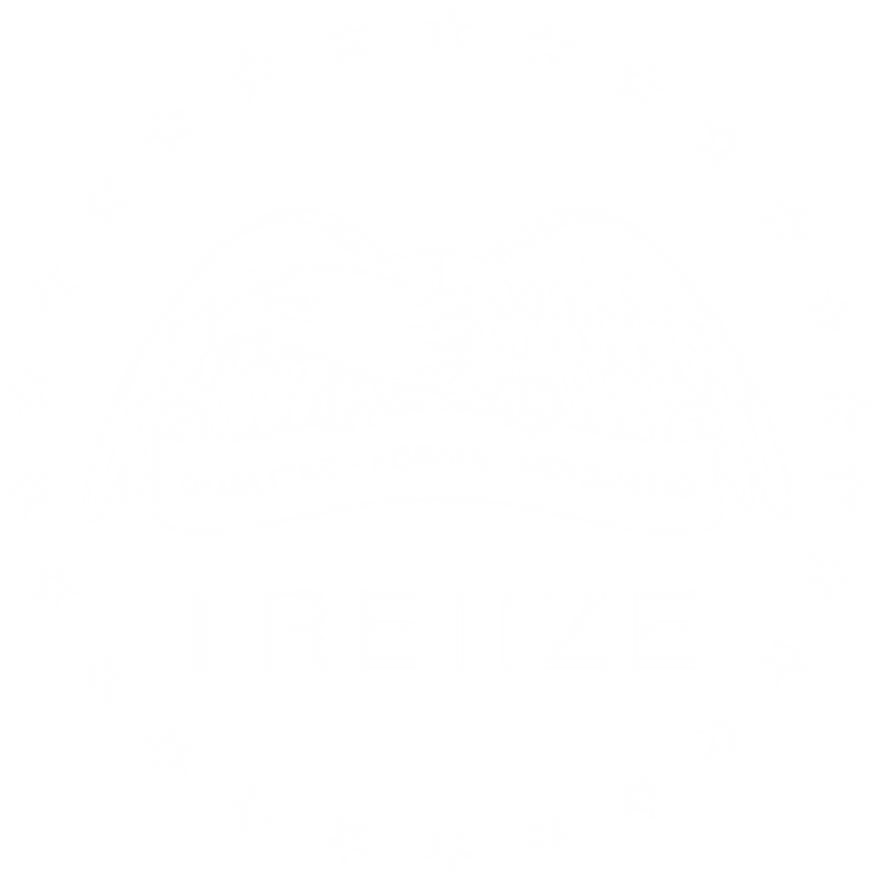 logo treiize aigle blanc.PNG