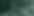 ImmertreuHP.png