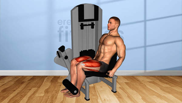 extension pierna.gif