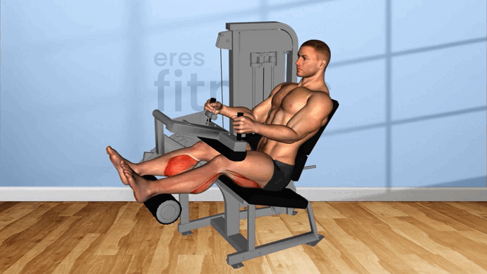FEMORAL SENTADO.gif