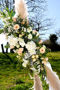 DSC_6184_edited.jpg