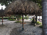 Thatched hut picnic area.jpeg