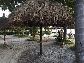 Thatched hut picnic area.jpeg