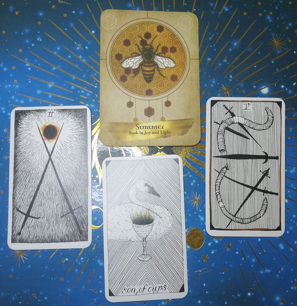The top center card depicts a bumblebee with a honey comb background: Summer. Left card is the 2 of swords showing two swords that cross near the tip. The center card depicts a lovely swan behind a single cup, the Son of Cups. The right card show pieces of an earthworm around 5 swords, the 5 of Swords