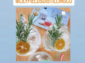 Sydney's Best Gin