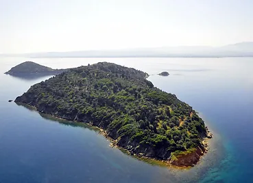 Islandlife.webp