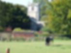 Paddock next to Home Farm House