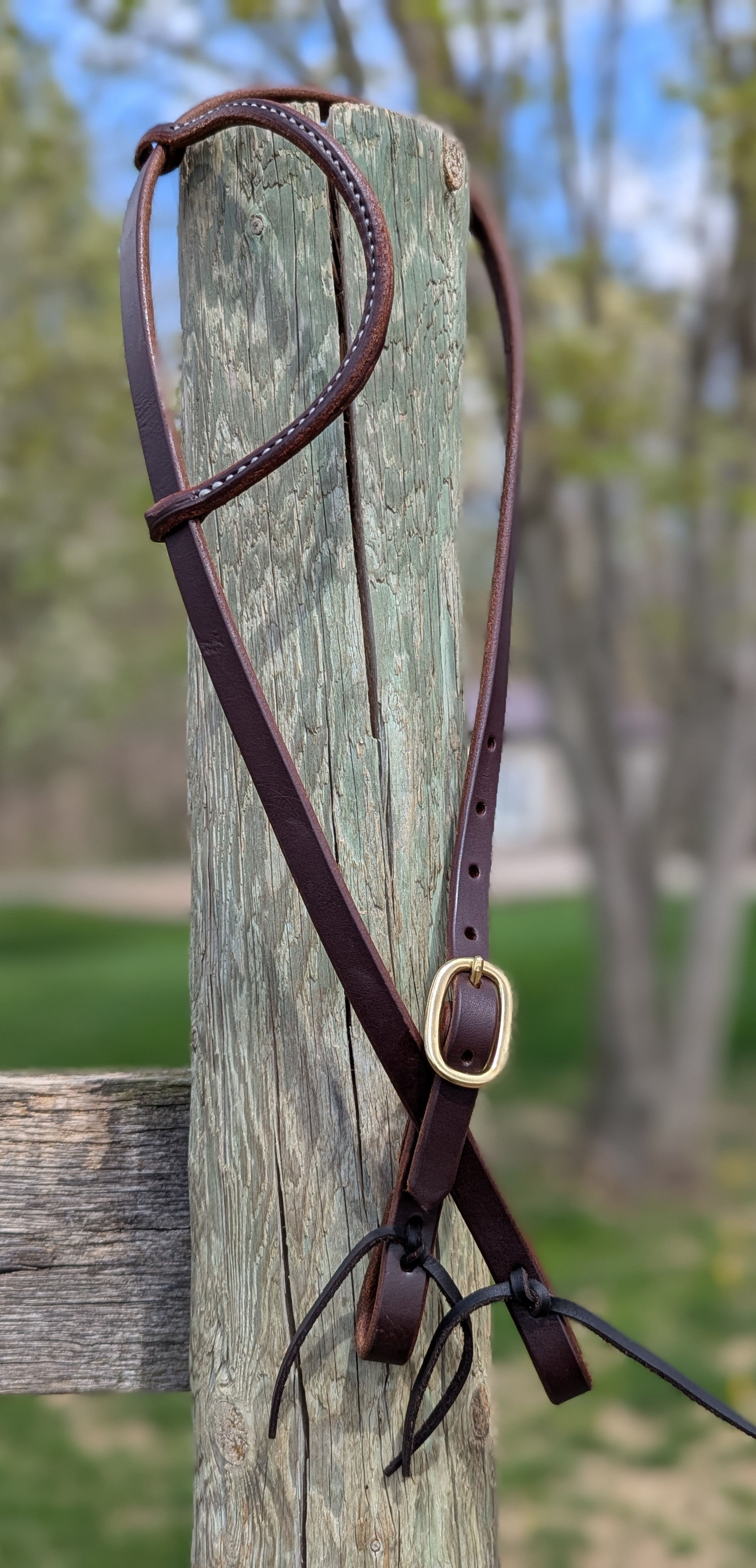 Oiled Earloop Headstall