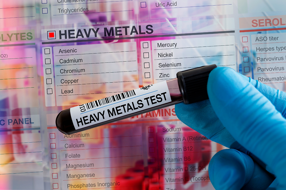 Heavy Metals