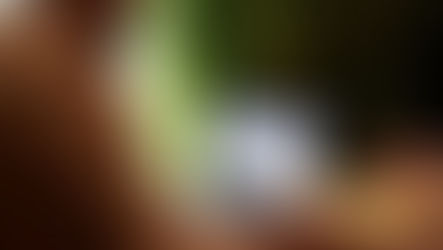 Utilização da ferramenta DMA para análise de migração do banco de dados