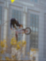 "Bucking High"