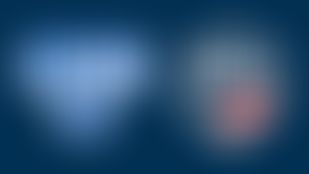 Columbus Lions Join American Arena League