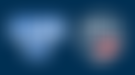 Columbus Lions Join American Arena League