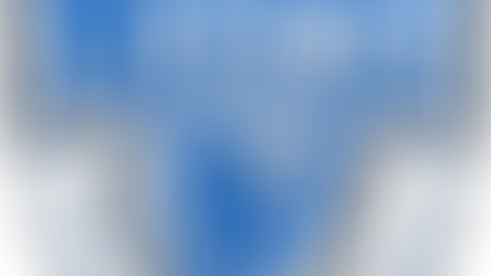 Columbus Lions Celebrate 20 Seasons