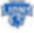 Columbus Lions - 20th Season Lockup WhiteText.png