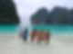 IMG_1833.jpeg