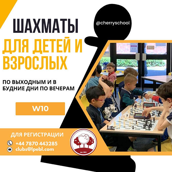 Шахматы для детей и взрослых