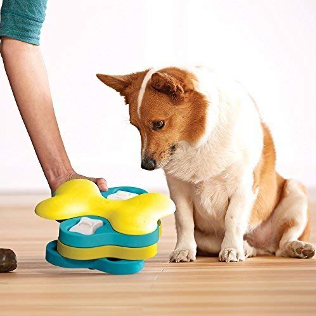 🐾 “Pawesome” Ways To Make The Most Of Social Distancing 🐾