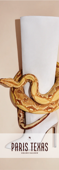 Serpente pitone vivo fornito da Animal Spot Milano, avvolto intorno a uno stivale Paris Texas. Fotografia di moda con animali. Animali per set fotografici. Serpente addestrato per servizio fotografico Animal Spot Milano.