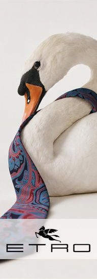 Cigno fornito da Animal Spot Milano, per la campagna di Etro "Siamo tutti uno"