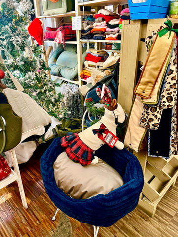 Prodotti per animali Animal Spot Milano