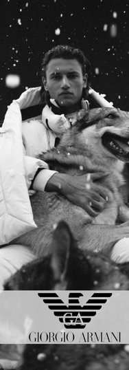 Scatto realizzato da Giorgio Armani Neve, con la partecipazione di un cane attore. Un lupo cecoslovacco addestrato per shooting fotografici, pubblicità, film