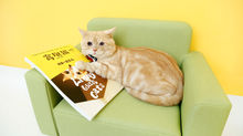 『 寵物傢俬上雜誌囉 』
